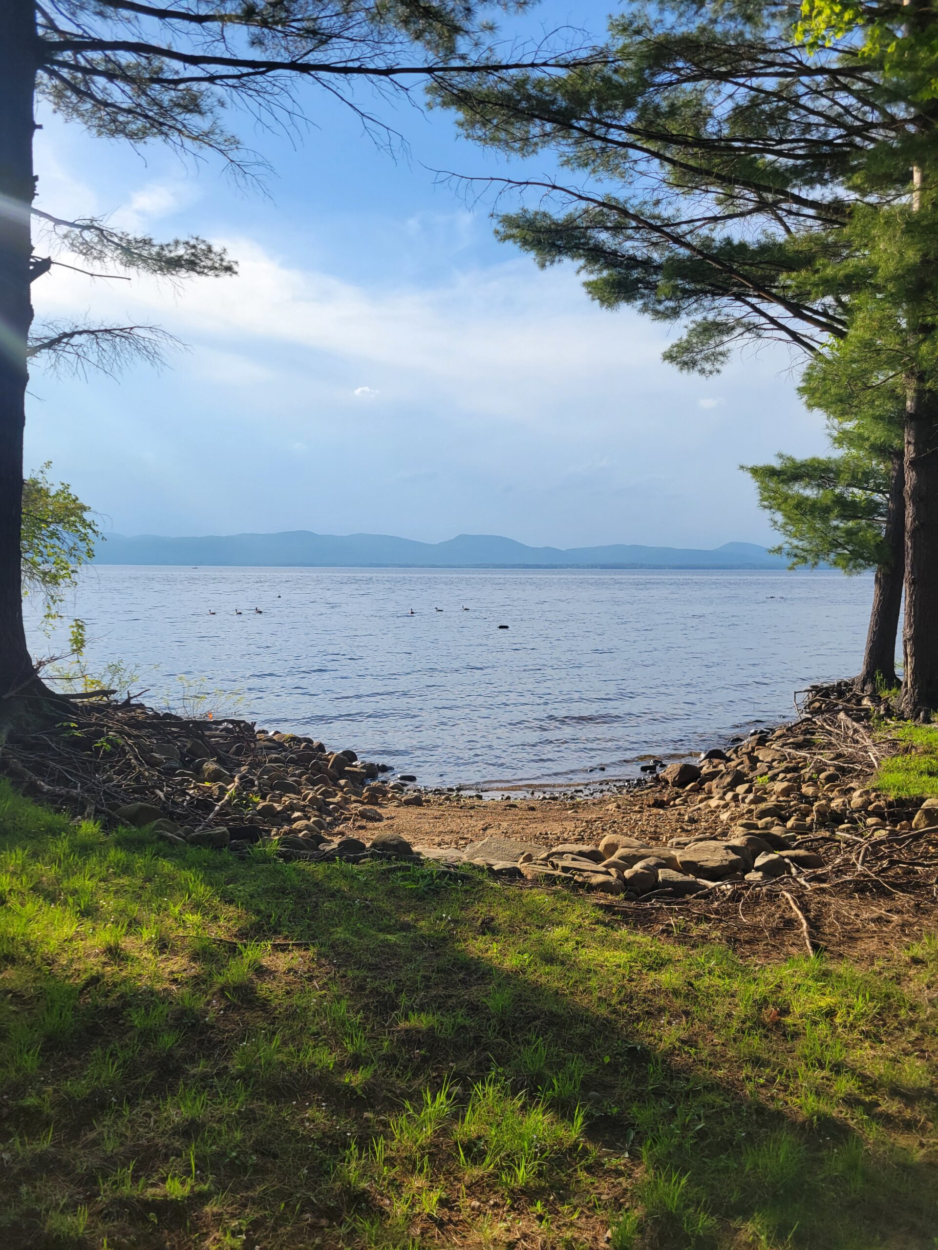 Early Summer (higher water)